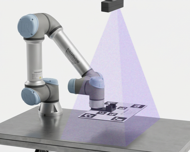 Camera fixed in the environment, with the robot moving underneath it